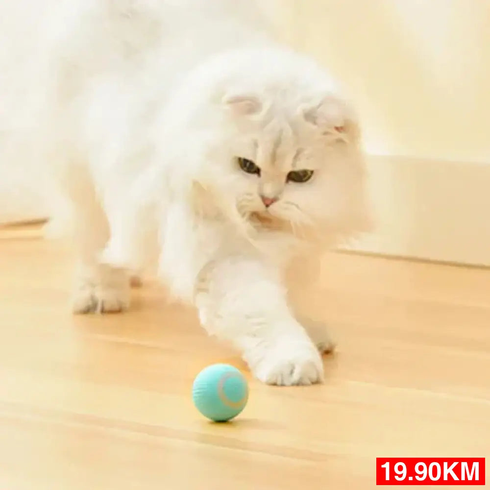 Interaktivna Loptica za Mačke TwitchBall™