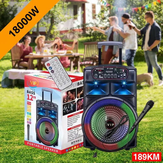 VIP Bluetooth zvučnik 12’’ sa mikrofonom